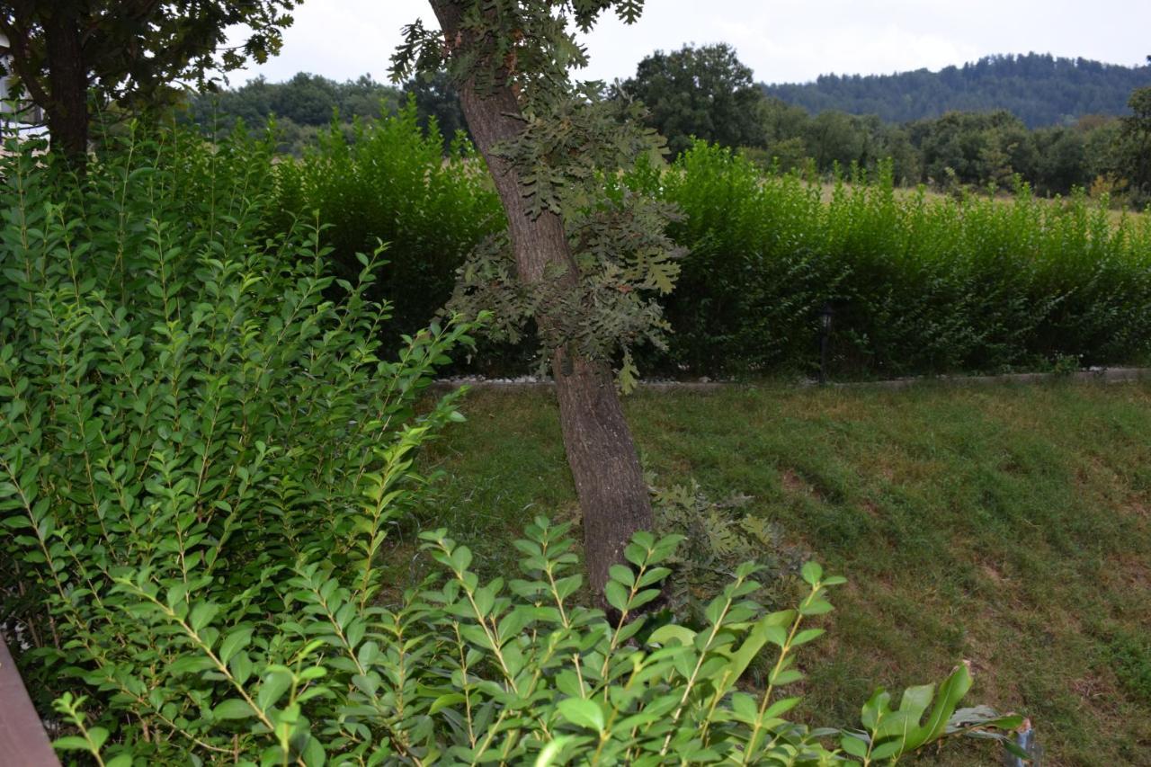 Two Villas Kirkovo Kızılağaç Dış mekan fotoğraf