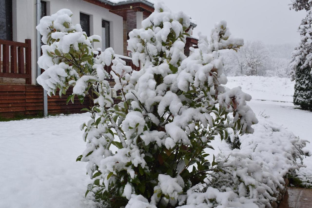 Two Villas Kirkovo Kızılağaç Dış mekan fotoğraf